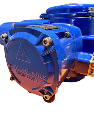 তাপীয় সুরক্ষা বৈদ্যুতিক এয়ার ভালভ actuator 100NM IP67 অংশ ঘোরান